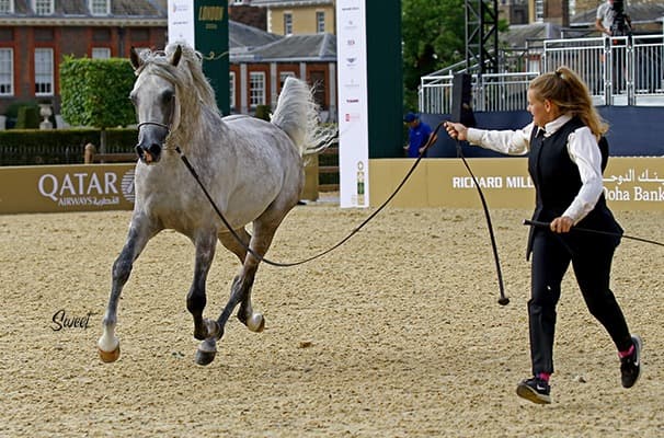Dancing Mirage SBM at GCAT London 2026