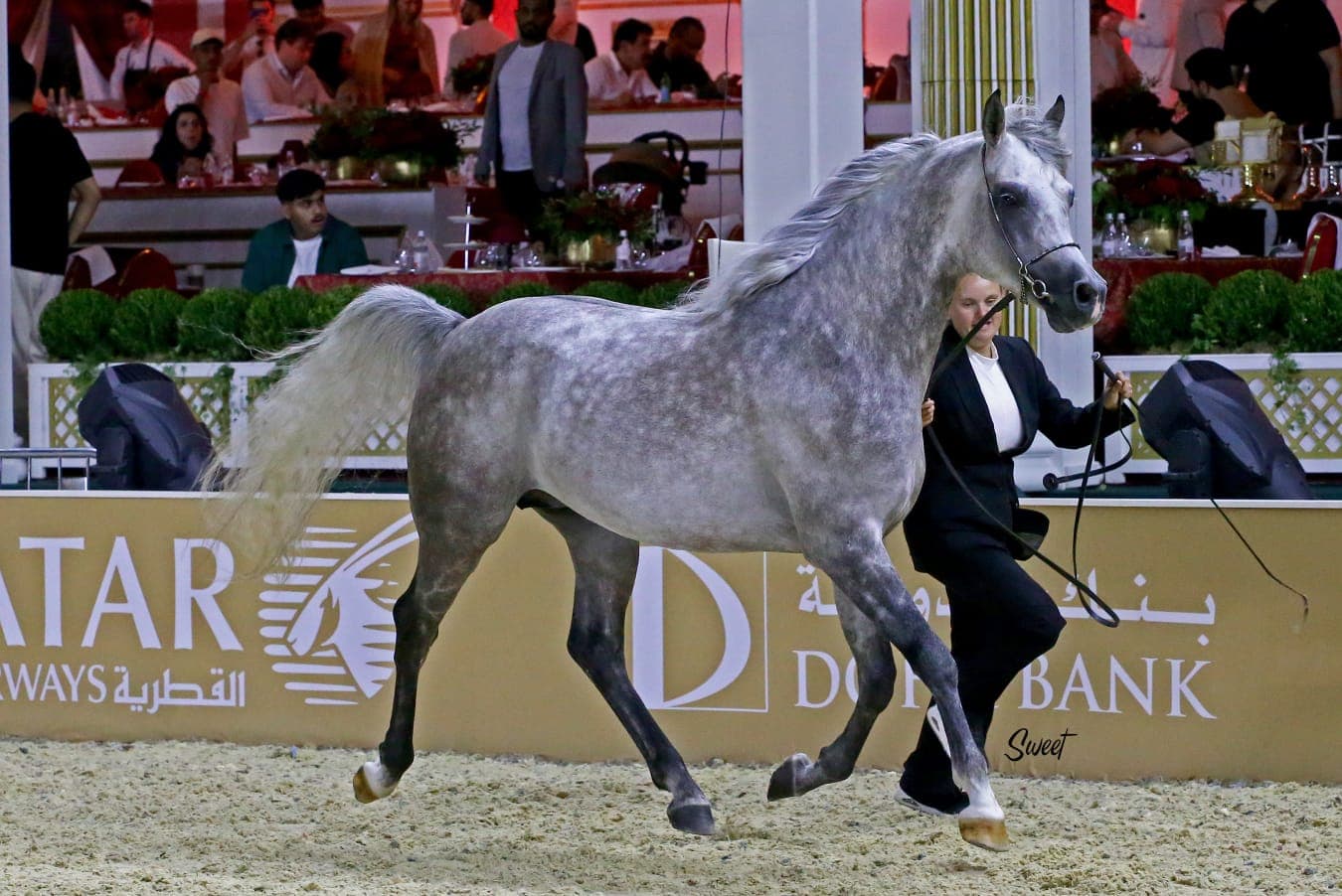 Dancing Mirage SBM at GCAT London 2025